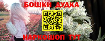 стаф Дубна