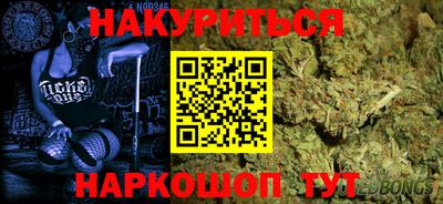 стаф Дубна