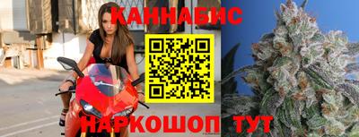 стаф Дубна