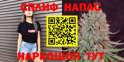 стаф Дубна