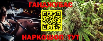стаф Дубна